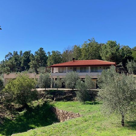 Casa Do Olival Villa Tarouca Eksteriør bilde