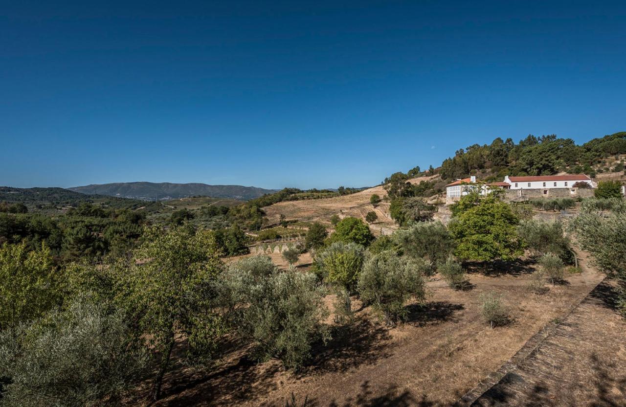 Casa Do Olival Villa Tarouca Eksteriør bilde