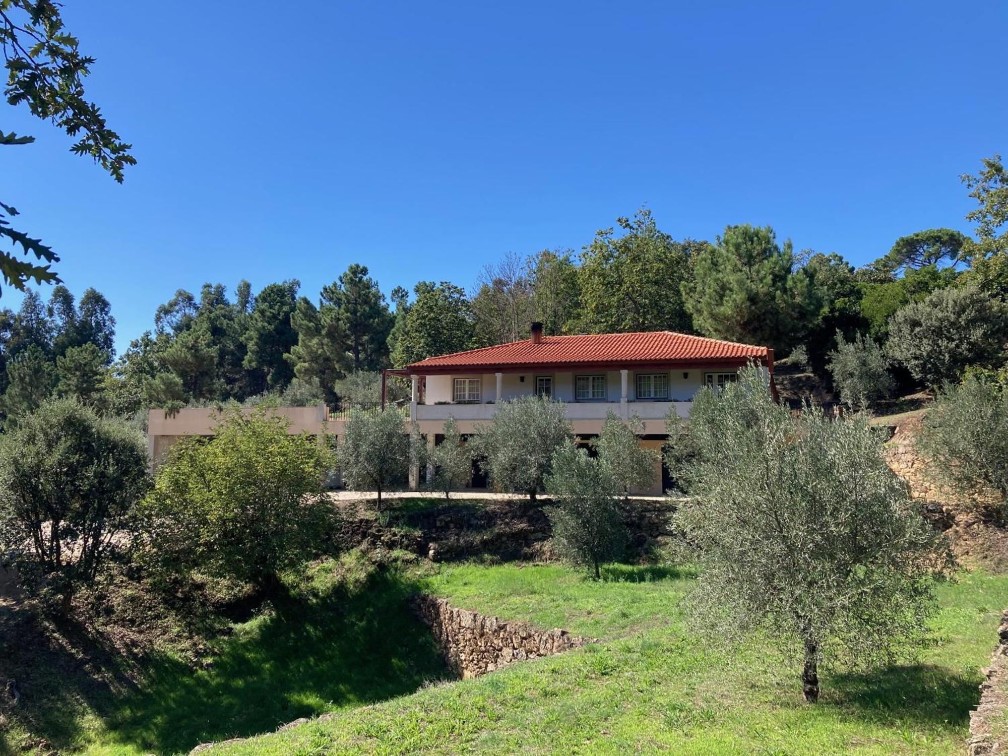 Casa Do Olival Villa Tarouca Eksteriør bilde